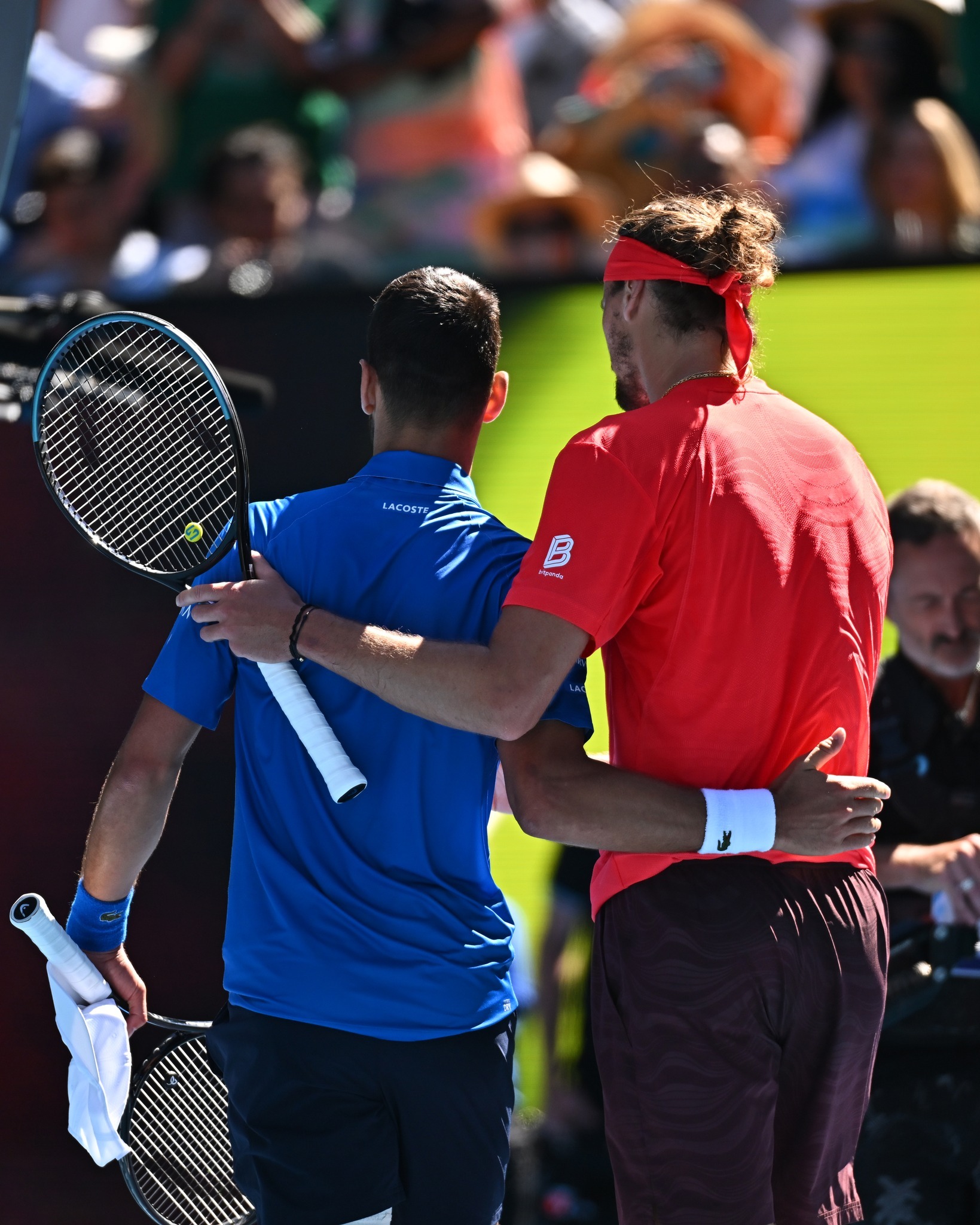 戴维斯杯横扫拉沃尔杯，德约科维奇统治全场的简单介绍