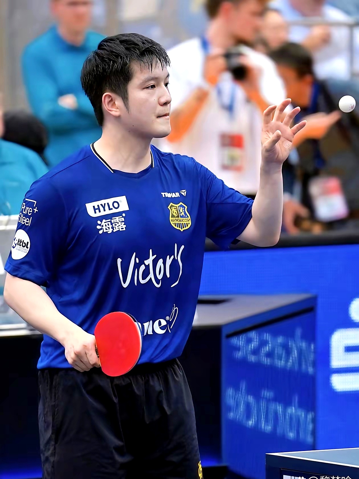 包含波兰乒乓球队强势中国乒乓球队，樊振东惊艳世界的词条