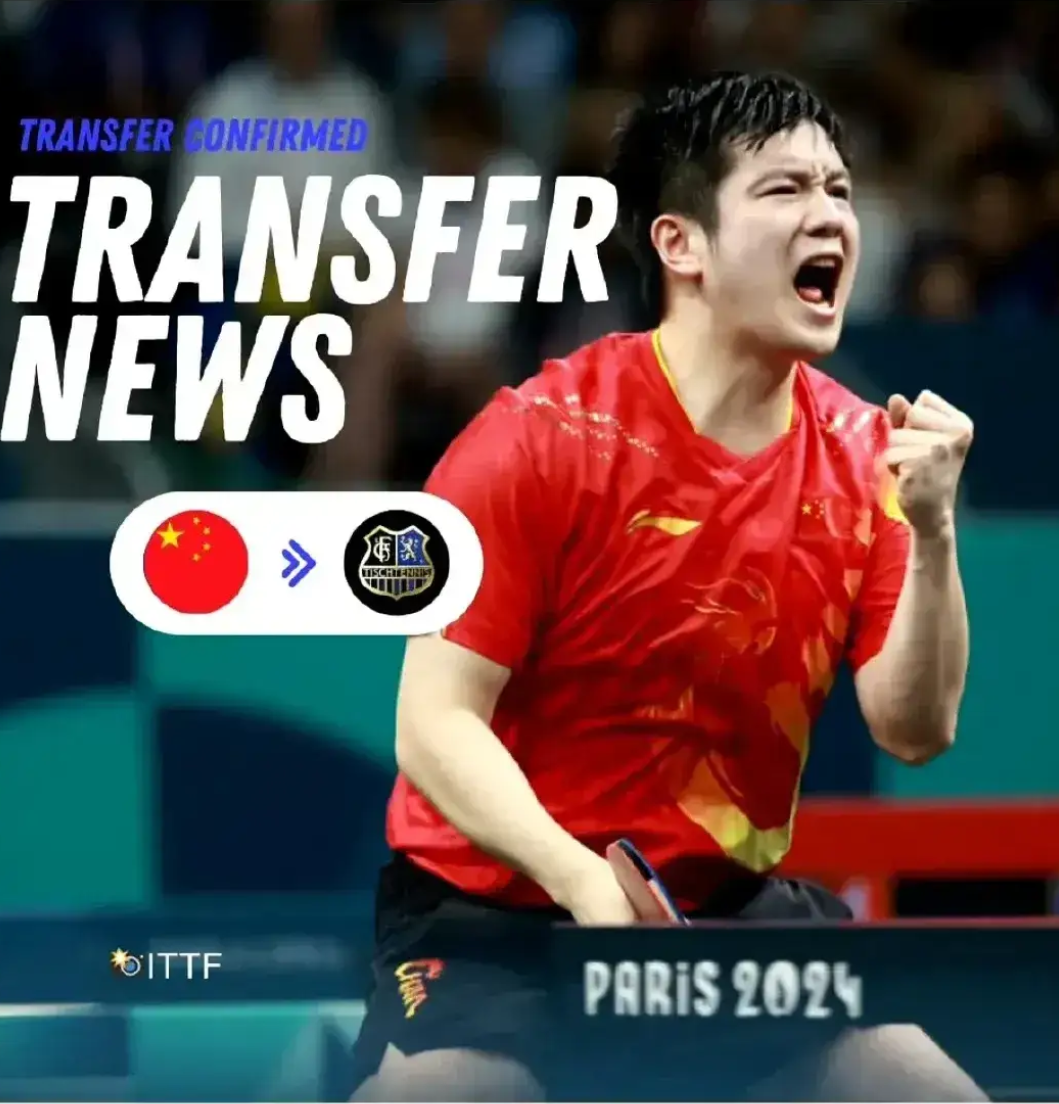 日本队力克德国队，樊振东高光表现的简单介绍